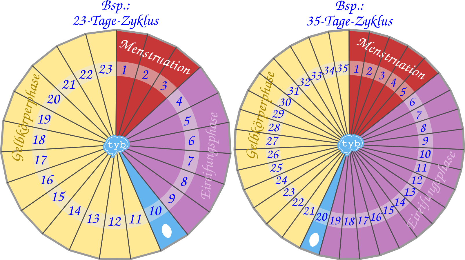 Menstruationskalender für Profis