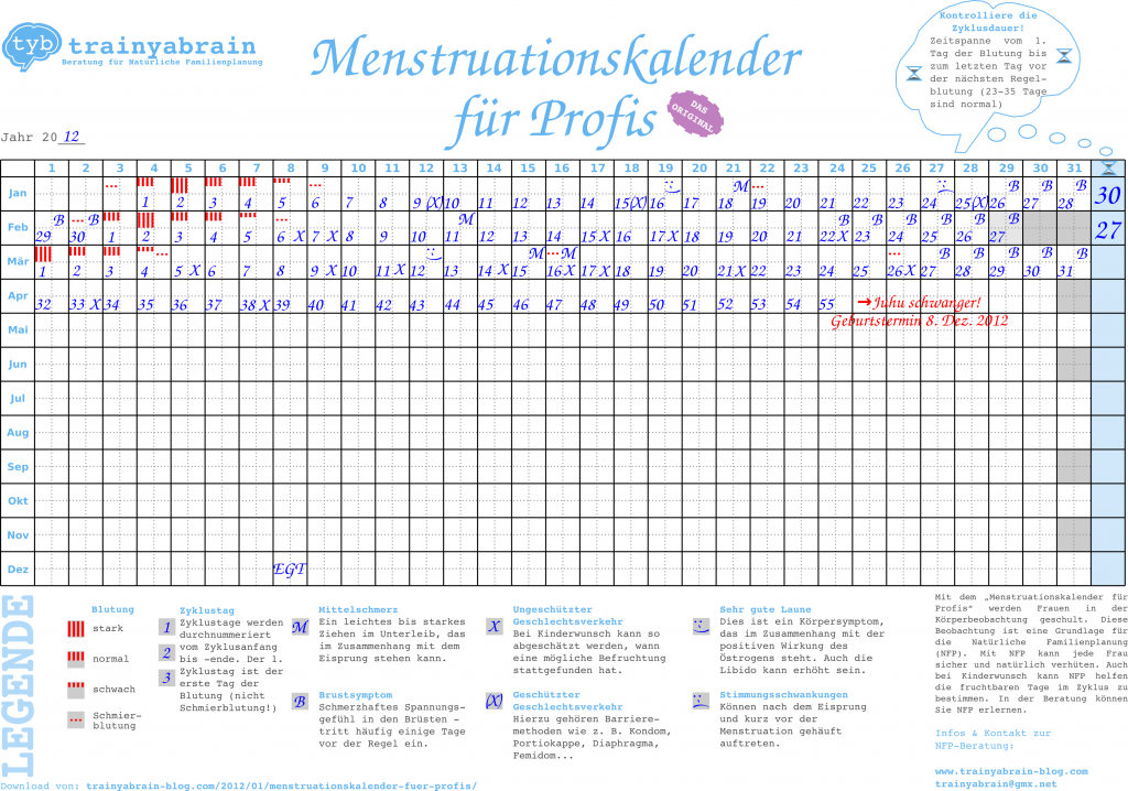 Beispiel-Menstruationskalender-fuer-profis