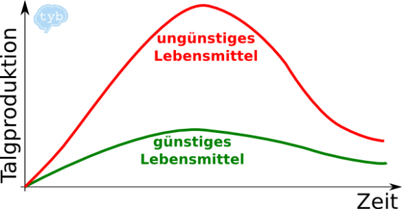 akne-pickel-talgproduktion-ernährung