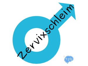 Zervixschleim und Männer?! zervixschleim-maenner