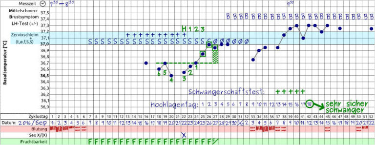 Eisprungkalender - Wann kann frau schwanger werden?