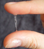 transparent Zervixschleim - Eisprung