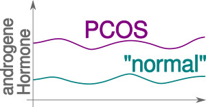 PCOS Symptome Androgene