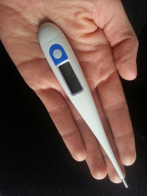One Step NFP Thermometer