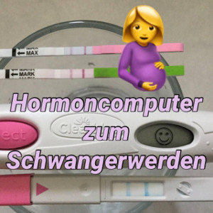 Hormoncomputer