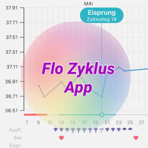 Flo App