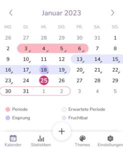 Mein Kalender App im Test