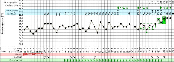 50 Tage Zyklus - Temperaturkurve bei Schwangerschaft und PCOS © Natürliche Fruchtbarkeit