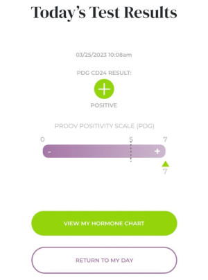 Positiver Progesterontest