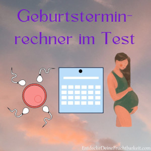 Geburtsterminrechner im Test