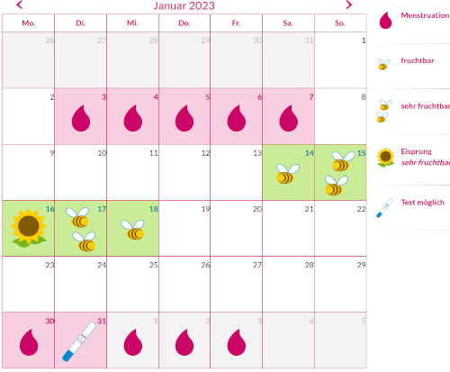 kidsgo Eisprungkalender