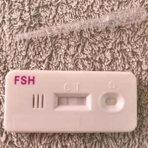 FSH Menopause Test negativ 