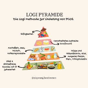 Logi Methode Pyramide