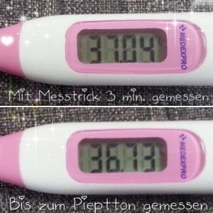 Messen bis zum Piepton - Kingpo Thermometer 